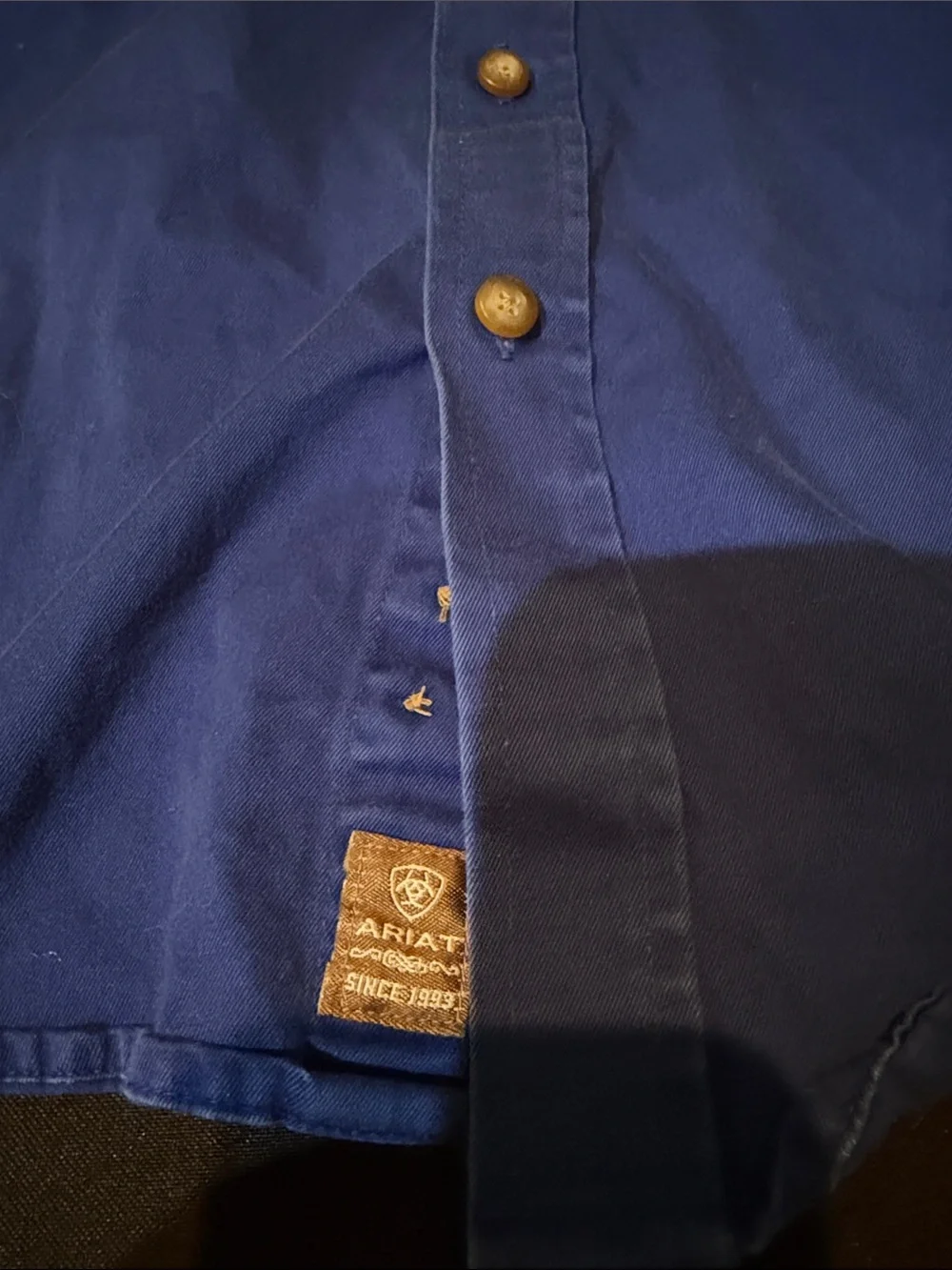 Ariat Men's Button-Down Shirt — Blue with White Logo